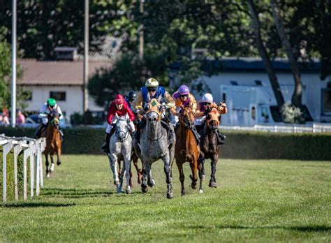 2025 Preakness Stakes: Everything you need for the May 17 race .